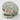 Coastal Seashell Jewelry Box - Arlo Belle